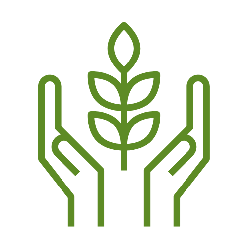 Seedremedies - Home - Privacy Policy