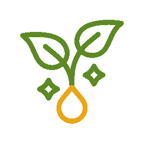 Seedremedies - Home - save-water